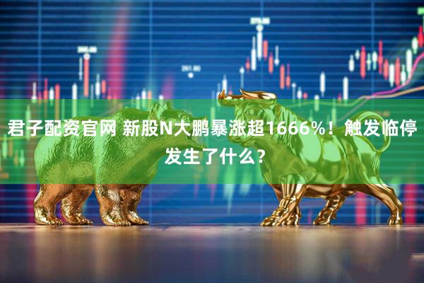 君子配资官网 新股N大鹏暴涨超1666%！触发临停 发生了什么？